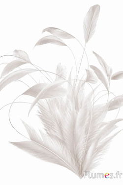 Coq fouet Body Split - 20-25 cm - blanc